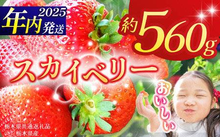 yȖ،ʕԗizy2025Ns\zXJCx[ 280g×2P| N ʕ  t[c  ₳ TC  C`S  XJCx[ VN Â    ʕ 