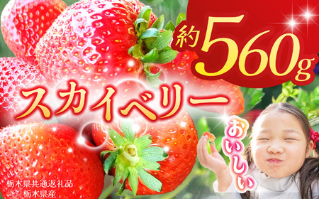 [栃木県共通返礼品][2026年先行予約]スカイベリー 280g×2P