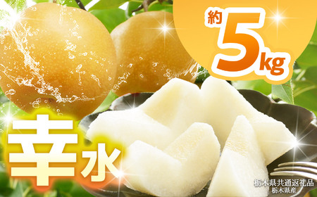 [栃木県共通返礼品][2025年先行予約]幸水 約5kg | 梨 なし ナシ 新品種 先行予約 大粒 新鮮 甘い 美味しい 果物 くだもの フルーツ ふるーつ 共通返礼品 フルーツ デザート 栃木県 那珂川町