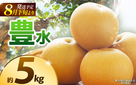[栃木県共通返礼品][2025年8月先行予約]豊水 約5kg |豊水 梨 なし ナシ 新品種 先行予約 大粒 新鮮 甘い 美味しい 果物 くだもの フルーツ ふるーつ 共通返礼品 フルーツ デザート 栃木県 那珂川町
