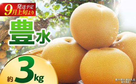 [栃木県共通返礼品][2025年9月先行予約]豊水(高糖度) 約3kg |豊水 梨 なし ナシ 新品種 先行予約 大粒 新鮮 甘い 美味しい 果物 くだもの フルーツ ふるーつ 共通返礼品 フルーツ デザート 栃木県 那珂川町