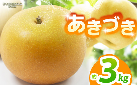 [栃木県共通返礼品][2025年先行予約]あきづき 約5kg |あきづき 梨 なし ナシ 新品種 先行予約 大粒 新鮮 甘い 美味しい 果物 くだもの フルーツ ふるーつ 共通返礼品 フルーツ デザート 栃木県 那珂川町