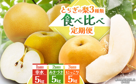 [栃木県共通返礼品][2025年先行予約]とちぎの梨食べ比べ定期便 