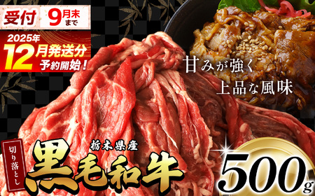 [12月発送]栃木県産黒毛和牛切り落とし 500g | 霜降り 肉 和牛 黒毛和牛 栃の木黒牛 切り落とし とろける 品質 柔らかく 銘柄牛 美味しい 特産品 ふるさと 納税 栃木県 那珂川町 送料無料