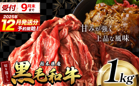 y12zōʏ   I Ȗ،Y јa ؂藎Ƃ 1.0kg |  a 킬イ イ  イɂ ؂藎Ƃ ؗ Ă  ₫ Ԃ VuVu 