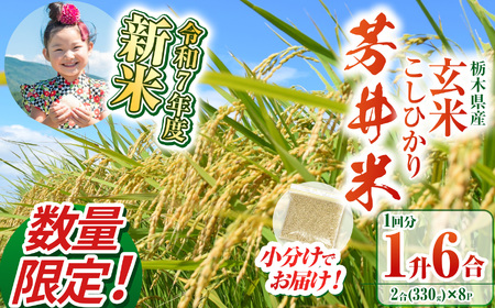 ふるなび限定[数量限定][令和7年度新米先行予約]新米那珂川町産芳井米 玄米 330g(2合分)×8 | こしひかり 新米 米 ごはん ふっくら もちもち ふるさと納税 那珂川町 栃木県