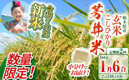 [定期便2回]ふるなび限定[数量限定][令和7年度新米先行予約]新米那珂川町産芳井米 玄米 330g(2合分)×8 | こしひかり 新米 米 ごはん ふっくら もちもち ふるさと納税 那珂川町 栃木県