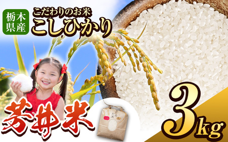 [先行予約]ふるなび限定 那珂川町産芳井米(こしひかり) 約3kg | お米 精米 美味しい 白米 とちぎ 玄米 共通返礼品 送料無料 那珂川町 栃木県