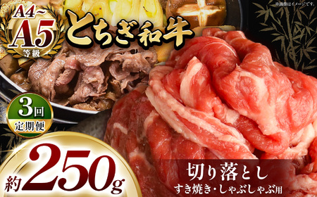 [定期便3回]最高位賞を受賞!最高級ブランドの柔らかく風味豊かなとちぎ和牛切り落とし 250g(すき焼き・しゃぶしゃぶ用) 