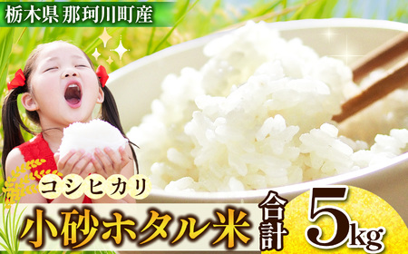 �����i���������j�z�^���� 5kg�i�R�V�q�J���j