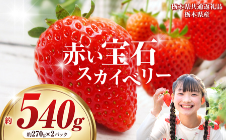 [栃木県共通返礼品]赤い宝石「スカイベリー」約270g×2パック