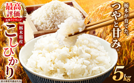 [栃木県共通返礼品]栃木県産コシヒカリ 白米 5kg