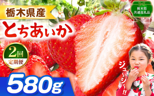 [栃木県共通返礼品][先行予約][定期2回]とちあいか 580g | 栃木県 那珂川町 送料無料