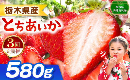 【栃木県共通返礼品】【先行予約】【定期3回】とちあいか 580g | 栃木県 那珂川町 送料無料