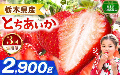 【栃木県共通返礼品】【先行予約】【定期3回】とちあいか 2900g | 栃木県 那珂川町 