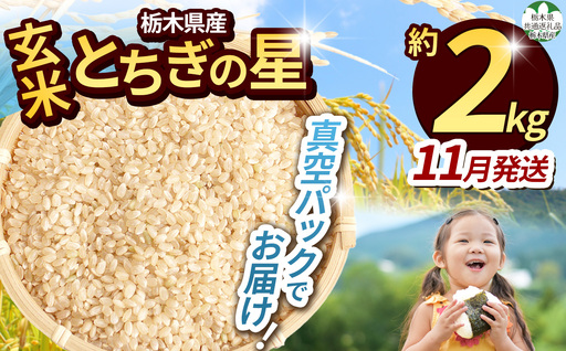  訳あり 【令和8年度新米】【栃木県共通返礼品】栃木県産とちぎの星 2kg（玄米真空パック）11月発送 | とちぎの星 玄米 米 ごはん  冷めてもおいしい ふるさと納税 那珂川町 栃木県