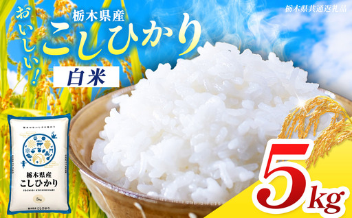 [栃木県共通返礼品]令和7年度産 コシヒカリ 5kg | 栃木県 那珂川町 送料無料