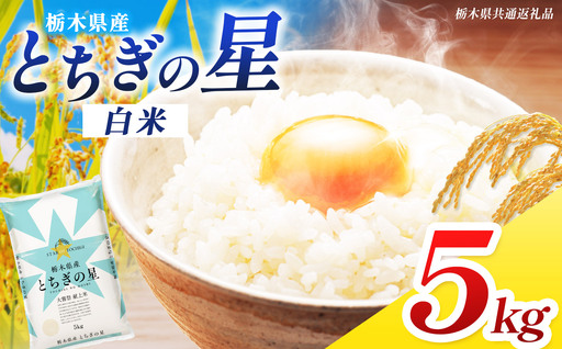 [栃木県共通返礼品]令和7年度産 とちぎの星 5kg | 栃木県 那珂川町 送料無料