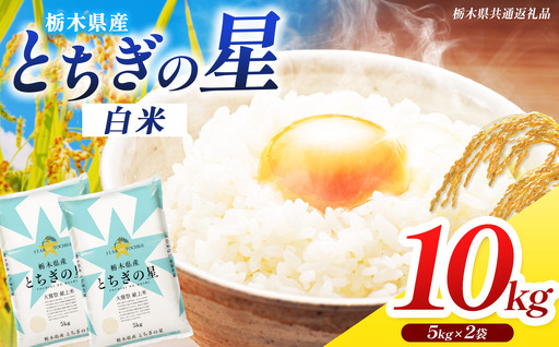 【栃木県共通返礼品】令和7年度産 とちぎの星 10kg | 栃木県 那珂川町 送料無料