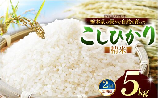 [栃木県共通返礼品][定期2回]コシヒカリ 白米 5kg |[令和8年度産] 栃木県 那珂川町 送料無料