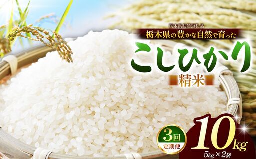 【栃木県共通返礼品】【定期３回】コシヒカリ 白米 10kg | 令和８年度産 栃木県 那珂川町 送料無料