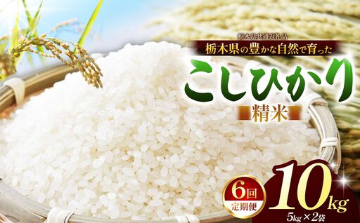 【栃木県共通返礼品】【定期６回】コシヒカリ 白米 10kg | 令和８年度産 栃木県 那珂川町 送料無料