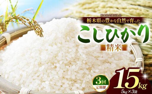 【栃木県共通返礼品】【定期3回】【令和８年度産】コシヒカリ 15kg お米  米 | 栃木県 那珂川町 送料無料
