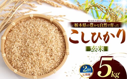 [栃木県共通返礼品][定期2回][令和8年度産]コシヒカリ 5kg お米 米 | 栃木県 那珂川町 送料無料