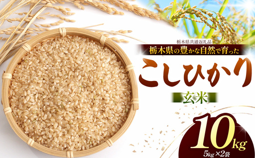 【栃木県共通返礼品】【令和８年度産】コシヒカリ 10kg お米 米 | 栃木県 那珂川町 送料無料