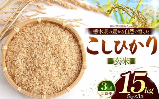 【栃木県共通返礼品】【定期３回】【令和８年度産】コシヒカリ 15kg お米 米 | 栃木県 那珂川町 送料無料