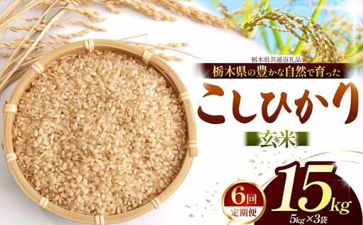 【栃木県共通返礼品】【定期６回】【令和８年度産】コシヒカリ 15kg お米 米 | 栃木県 那珂川町 送料無料