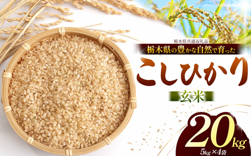 【栃木県共通返礼品】【令和８年度産】コシヒカリ 20kg お米 米 | 栃木県 那珂川町 送料無料