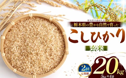【栃木県共通返礼品】【定期２回】【令和８年度産】コシヒカリ 20kg お米 米 | 栃木県 那珂川町 送料無料