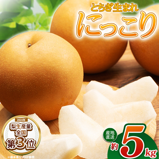 【栃木県共通返礼品】梨 にっこり 5kg | 栃木県 那珂川町 送料無料