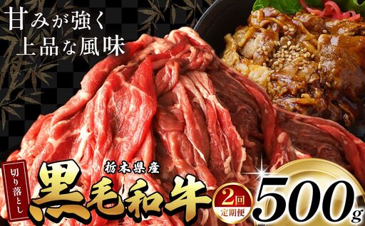 [定期2回] 栃木県産黒毛和牛切り落とし 500g | 霜降り 和牛 切り落とし とろける 品質 柔らかく 銘柄牛 美味しい おいしい 特産品 ふるさと 納税 栃木県 那珂川町 送料無料