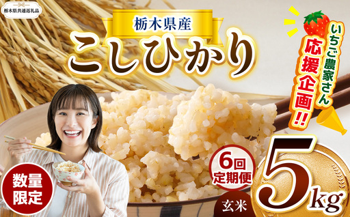 [定期6回][先行予約]令和8年度産 栃木県産コシヒカリ 5kg
