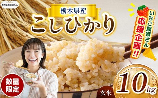 [先行予約][令和8年度産] 栃木県産コシヒカリ 10kg | [栃木県共通返礼品]