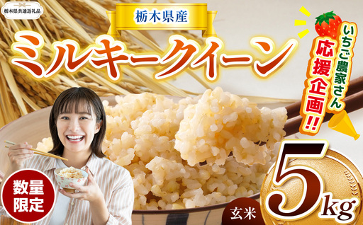 先行予約 令和8年度産 栃木県産 ミルキークイーン 5kg |[栃木県共通返礼品]
