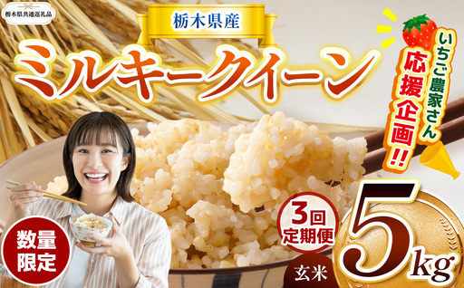 先行予約 [定期3回]令和8年度産 栃木県産 ミルキークイーン 5kg |[栃木県共通返礼品]