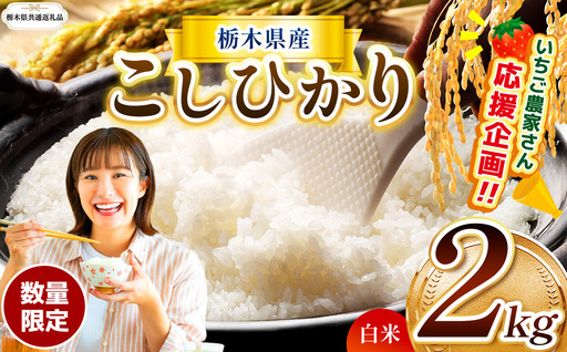 先行予約 令和8年度産 栃木県産 コシヒカリ 2kg |[栃木県共通返礼品]
