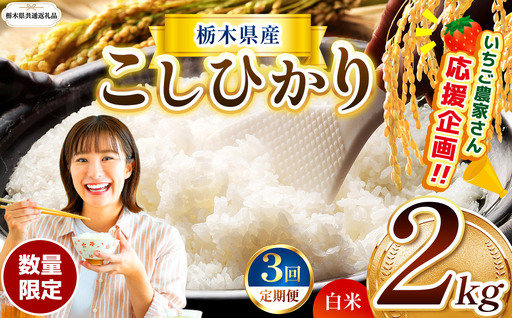 先行予約 [定期3回]令和8年度産 栃木県産 コシヒカリ 2kg |[栃木県共通返礼品]
