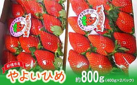 【2026年 先行予約】やよいひめDX（約400g ×２パック（箱入り）｜ いちご いちご いちご いちご  いちご いちご