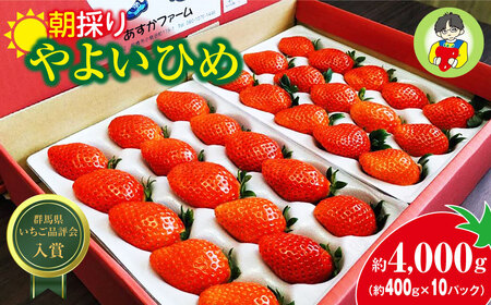 [2026年 先行予約]いちご やよいひめ 400g×10パック 計4kg|いちご いちご いちご いちご いちご