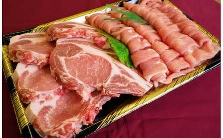 B-01 前橋産上州麦豚セット(1200g)