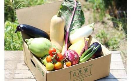 野菜ソムリエが送る 良農園の旬野菜ギフト|新鮮 朝どれ 農家直送 旬 野菜 野菜ソムリエ イタリア野菜 新種野菜 珍しい 西洋野菜