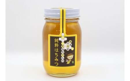 b-72　えみちゃんの純粋はちみつ 500ｇ×2