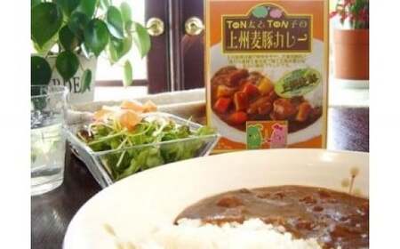 上州麦豚カレー10個入り