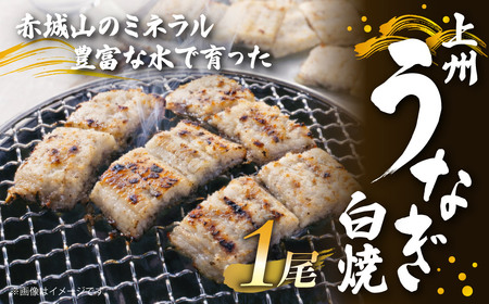 うなぎ 上州うなぎ白焼 1尾(150g以上)
