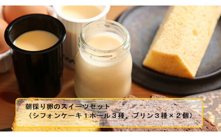 シフォンケーキ シフォンケーキ3種 プリン3種)