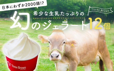 ジェラート 幻の牛の生乳から作る 無添加ジェラート 12個 群馬県 前橋市